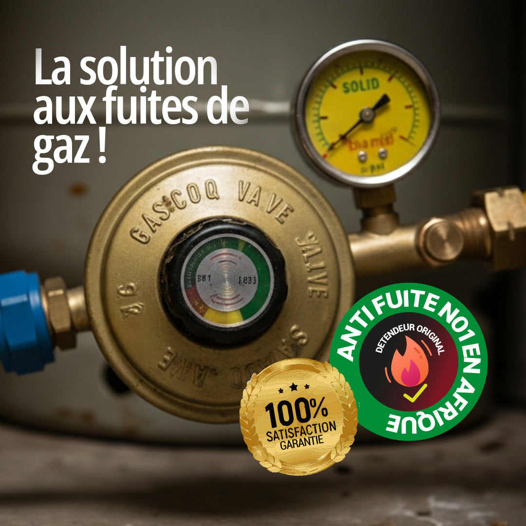 GAZCONTROL™ - Détendeur intelligent de gaz avec manomètre de sécurité