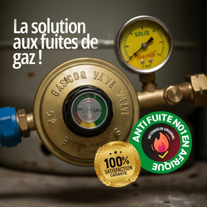 DETENDEUR DE GAZ AVEC MANOMETRE DE SECURITE - GAZ-CONTROL